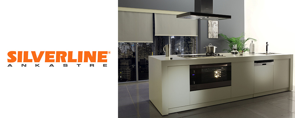 Bursa Silverline Servisi